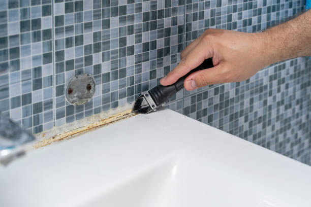 Best Toxic Mold Removal  in Farmington, MN